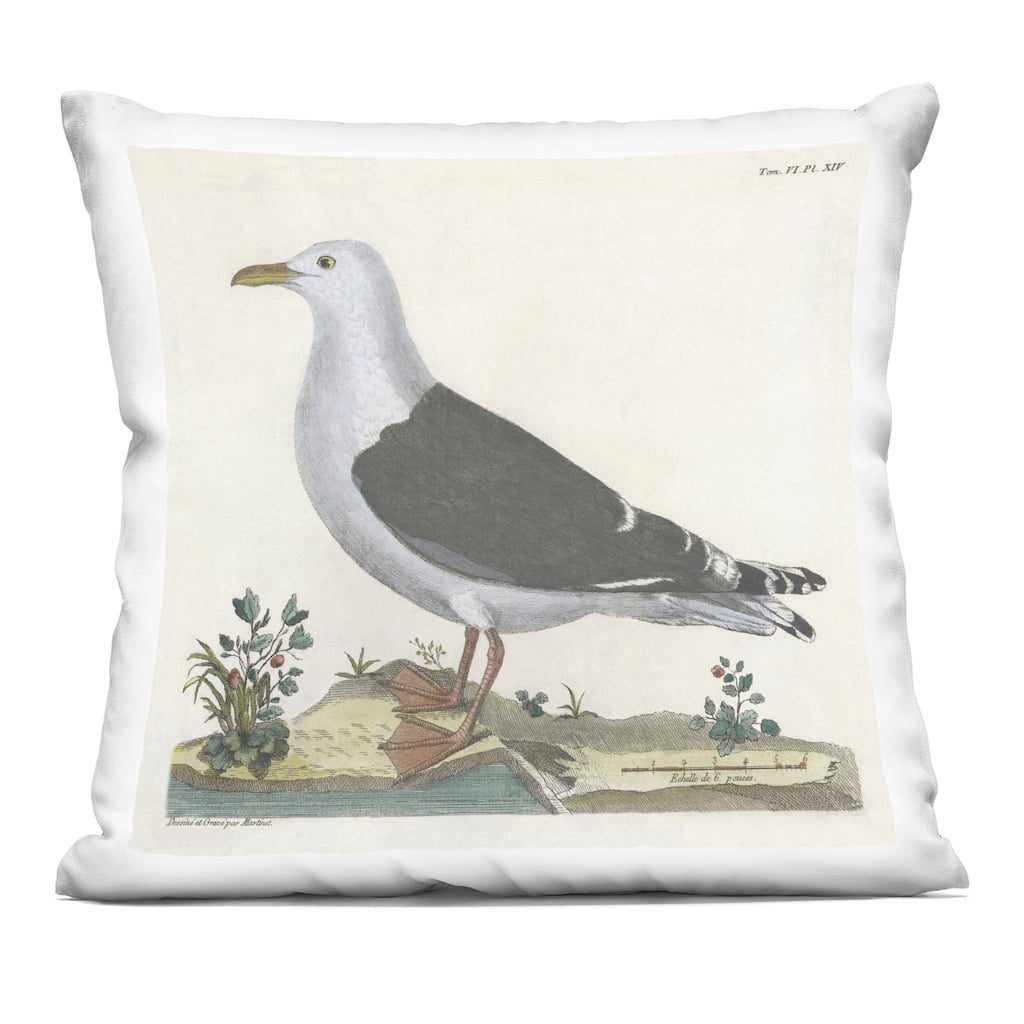 Stupell Vintage Seagull Study Diagram Decorative Printed Throw Pillow Design by Phillipa Katz