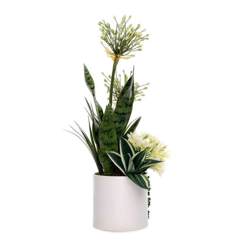 Agapanthus Flower Arrangement in White Cyclinder Planter