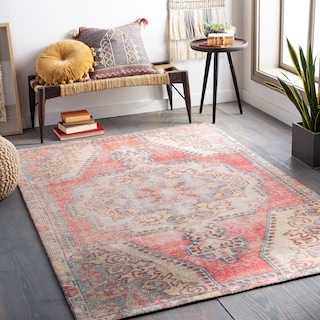 Artistic Weavers Palais Handmade Distressed Printed Area Rug