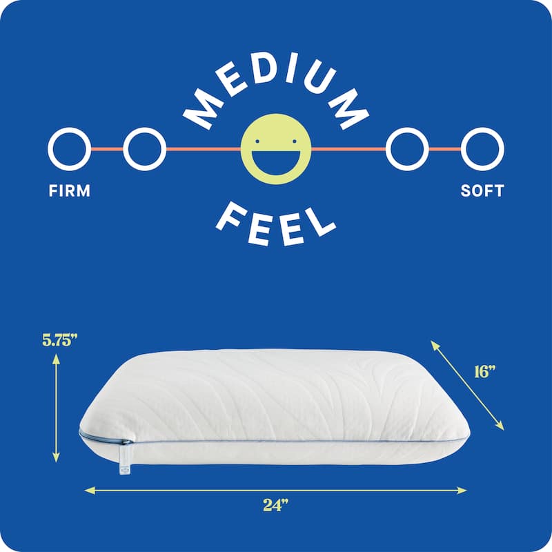 Sealy Dreamlife Performance Foam Pillow, Standard