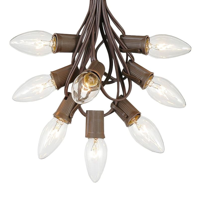 25 Foot C9 Twinkle Christmas Light Set, Hanging String Lights, Brown Wire - Clear