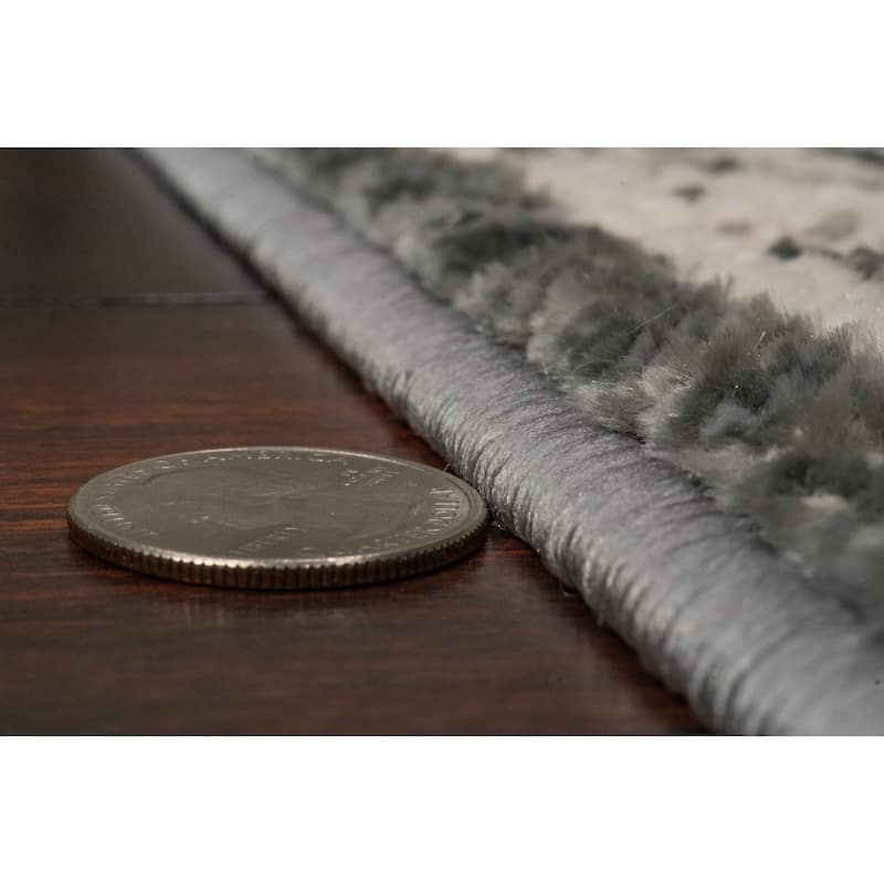 Dynamic Rugs Charlotte Traditional Area Rug