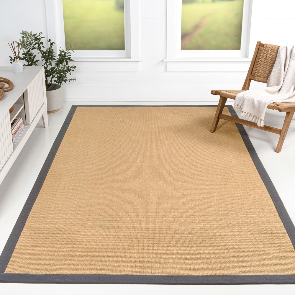 Camden Farmhouse Cottage Border Jute Area Rug