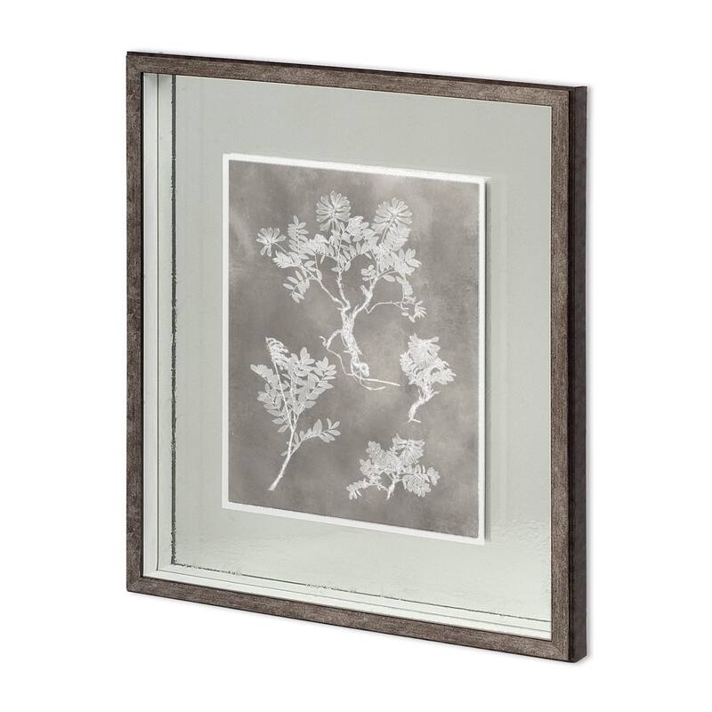 Custom Herbarium Study II Framed Art Print