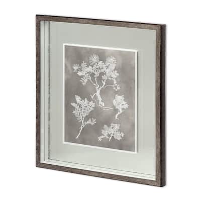 Custom Herbarium Study II Framed Art Print