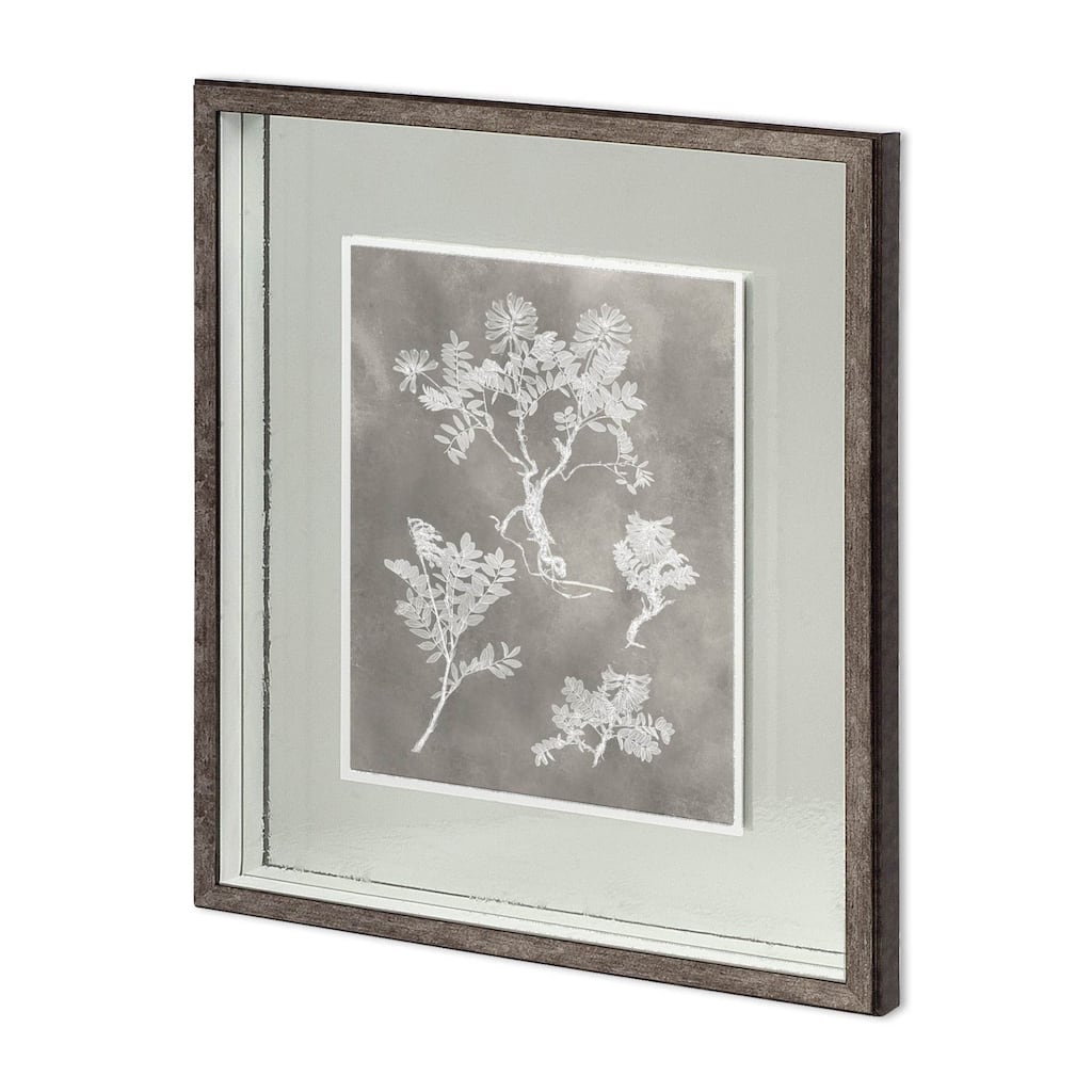 Custom Herbarium Study II Framed Art Print
