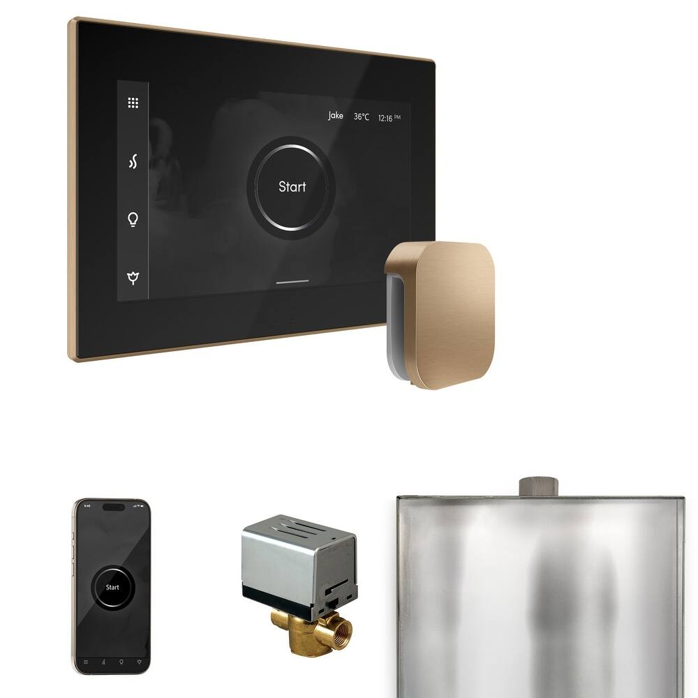 Mr Steam BX Xbutler Package Steam Shower Control Package with Isteamx