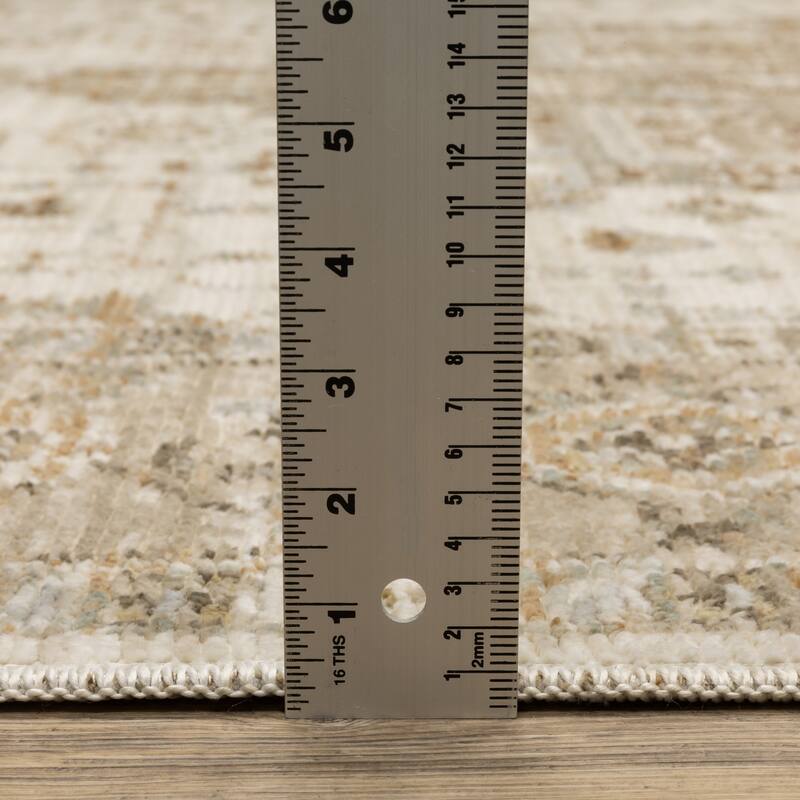 Style Haven Lucia Vintage Center Medallion Area Rug