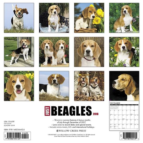 Shop Just Beagles Wall Calendar Beagle By Willow Creek Press