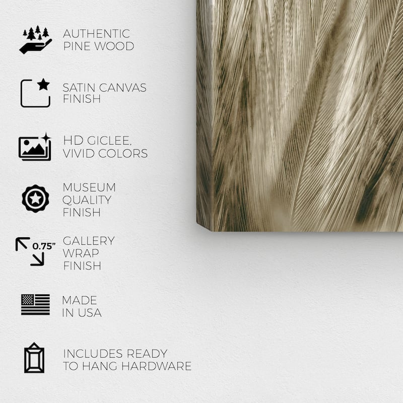 Wynwood Studio Canvas Animals Feather Close Up Gold and Modern & Contemporary Wall Art Canvas Print