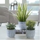 preview thumbnail 3 of 1, Uttermost 60192 Puebla Set of (3) Greenery Succulent and Spider Plants - Cobalt Blue / White