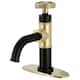 Option Matte Black / Polished Brass
