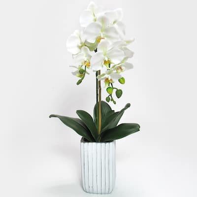 Cream White Artificial Phalaenopsis Orchid Flower Arrangement in Tall Embossed Stripe Ceramic Pot 26in - 26" H x 9" W x 8" DP