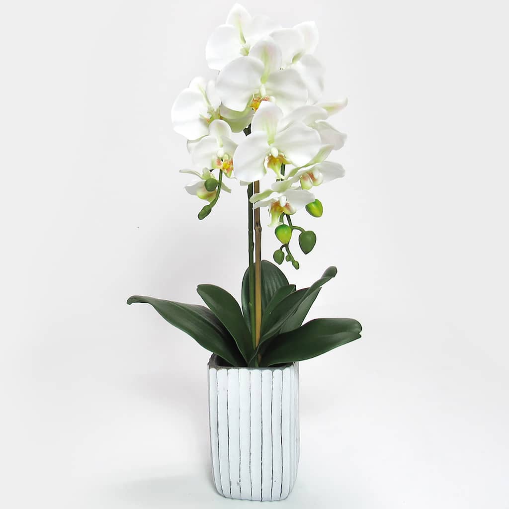 Cream White Artificial Phalaenopsis Orchid Flower Arrangement in Tall Embossed Stripe Ceramic Pot 26in - 26" H x 9" W x 8" DP