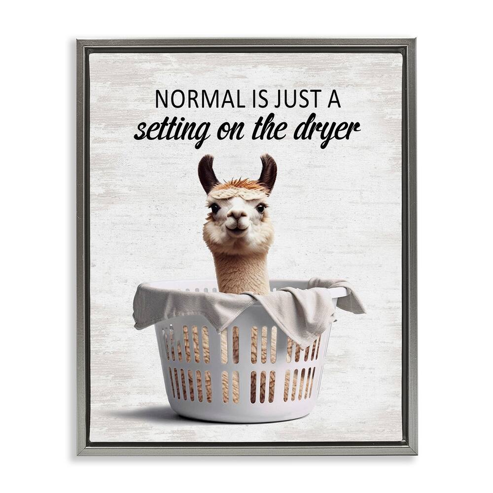 Stupell Funny Normal Dryer Quote Framed Floater Canvas Wall Art Design By Lettered and Lined