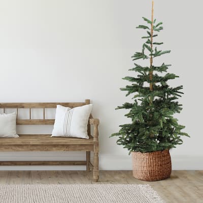 real touch™️ nordmann fir layered artificial christmas tree unlit 9' - 9 Foot