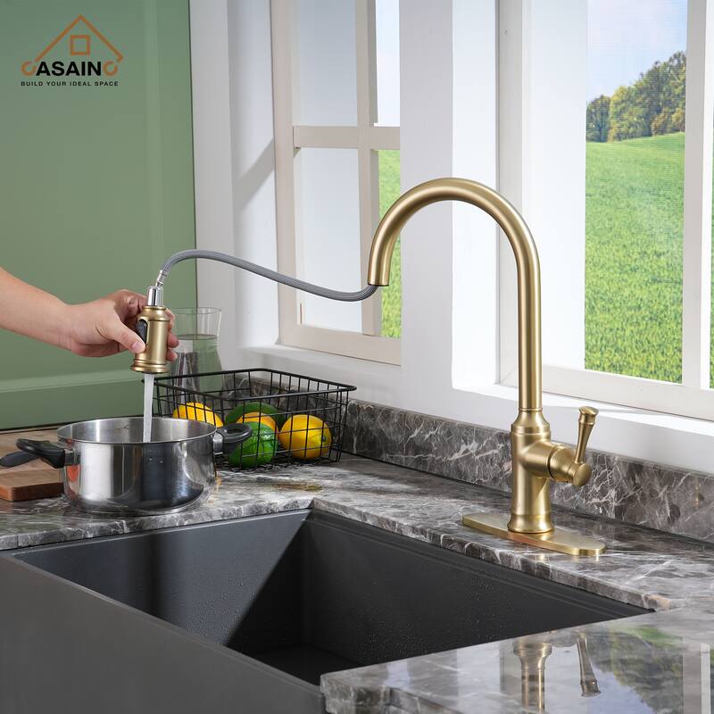 Single Handle Pull Out Sprayer Kitchen Faucet