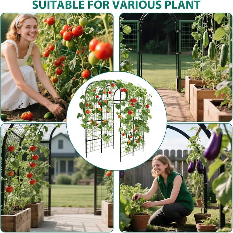 7.3FT Metal Garden Arch Trellis Plant Support for Raised Beds Climbing Vegetables Cucumbers and Vines Black