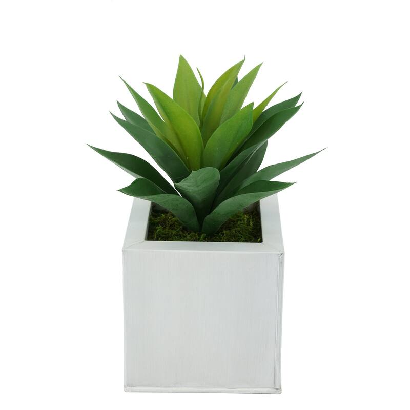 Faux Frosted Light Green Succulent in Square Zinc Planter