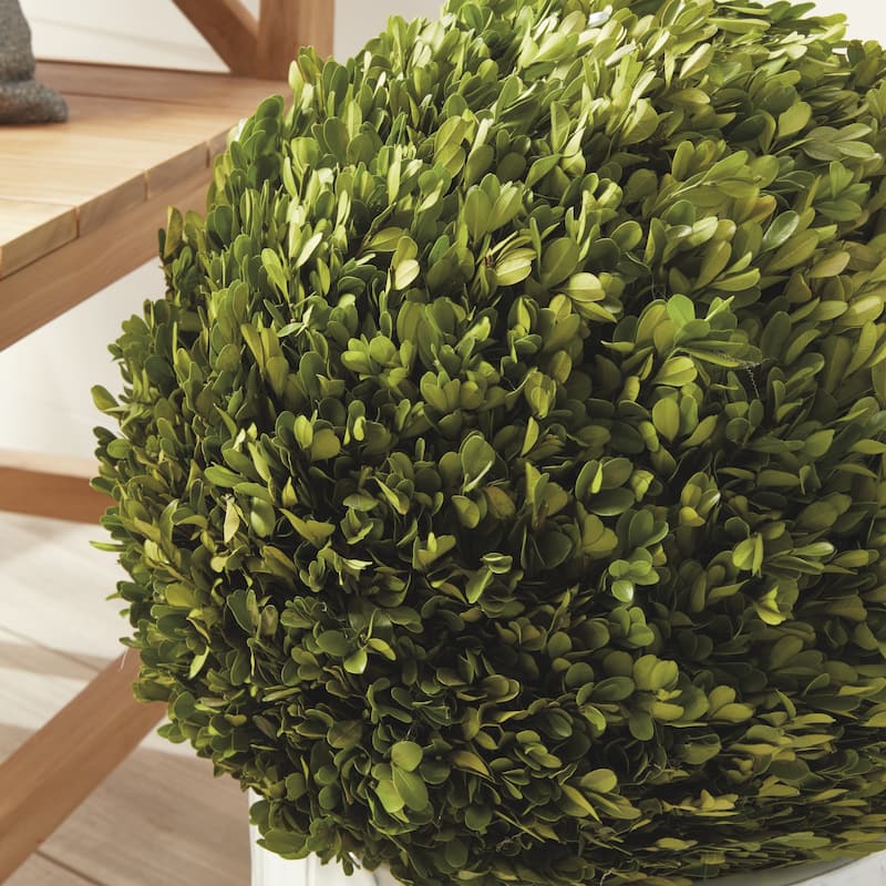 Boxwood Ball 16"