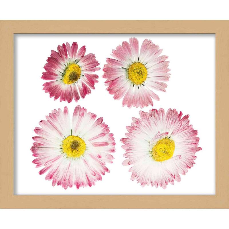 20x38 Natural | 1" Depth of Usuable Space| Vertical or Horizontal Display | Interior Size 20x38 or 38x20 In