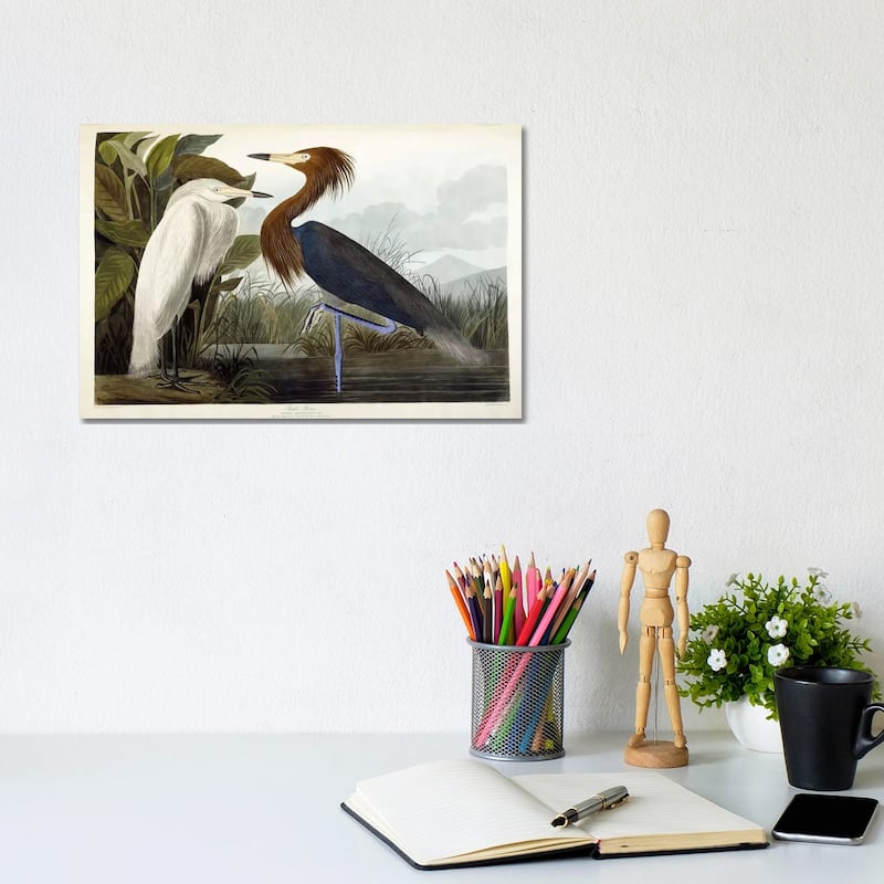 iCanvas "Purple Heron, c.1835" by John James Audubon Canvas Print - 8x12x0.75