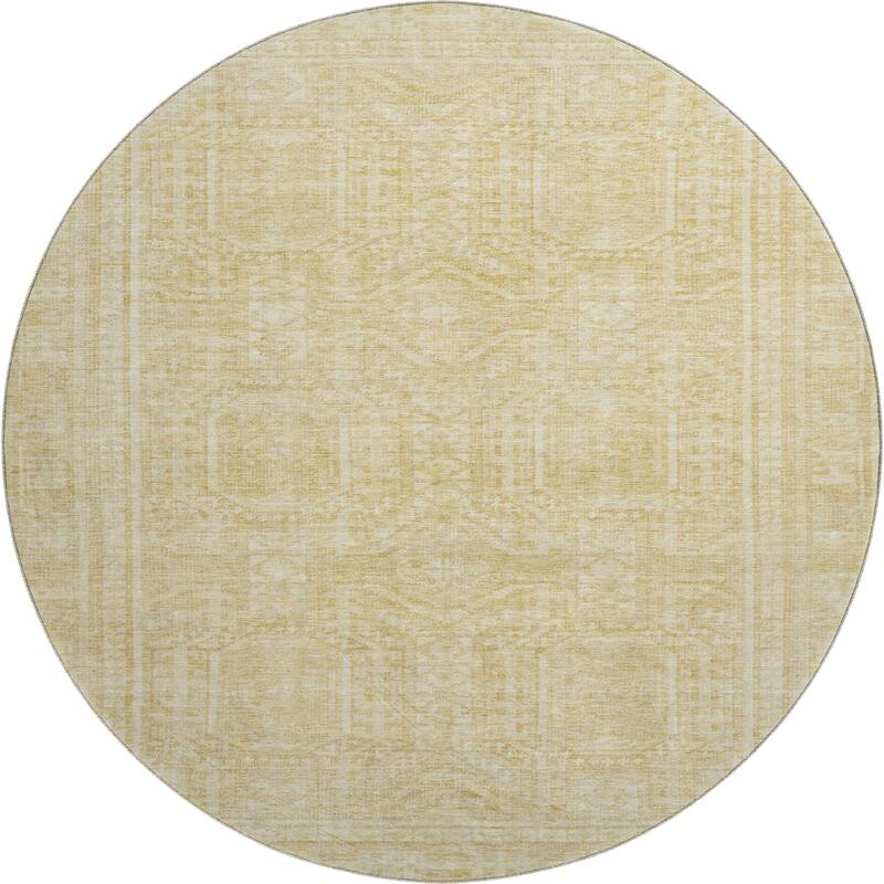 Premium Washable Super Soft Traditional Global Mayfield Rug