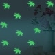preview thumbnail 2 of 0, Walplus Peel and Stick Glow In The Dark Maple Leaf Wall Sticker Home Room Decor