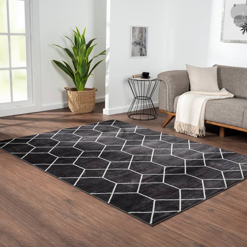 Trellis Geometric Woven Area Rug,8' x 10' - 8' x 10'