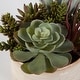 preview thumbnail 6 of 4, Uttermost Mesa Succulent Accent - 10"W x 9"H x 10"D