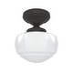 preview thumbnail 2 of 3, Hunter Saddle Creek 1 Light Contemporary Schoolhouse Flush Mount Ceiling Light - Bathroom, Hallway, Bedroom, Entry - Damp Rated!