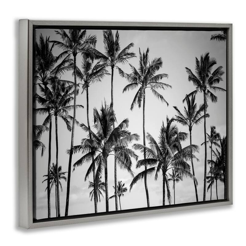 Stupell Palm Trees Skyline Black and White Photography Floater Frame