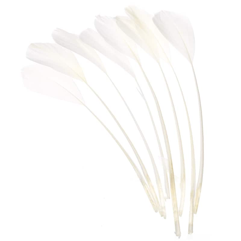 6-8 Inch Goose Feathers, 100 Pack Bulk Natural Feathers Style 4 - 6-8 Inch