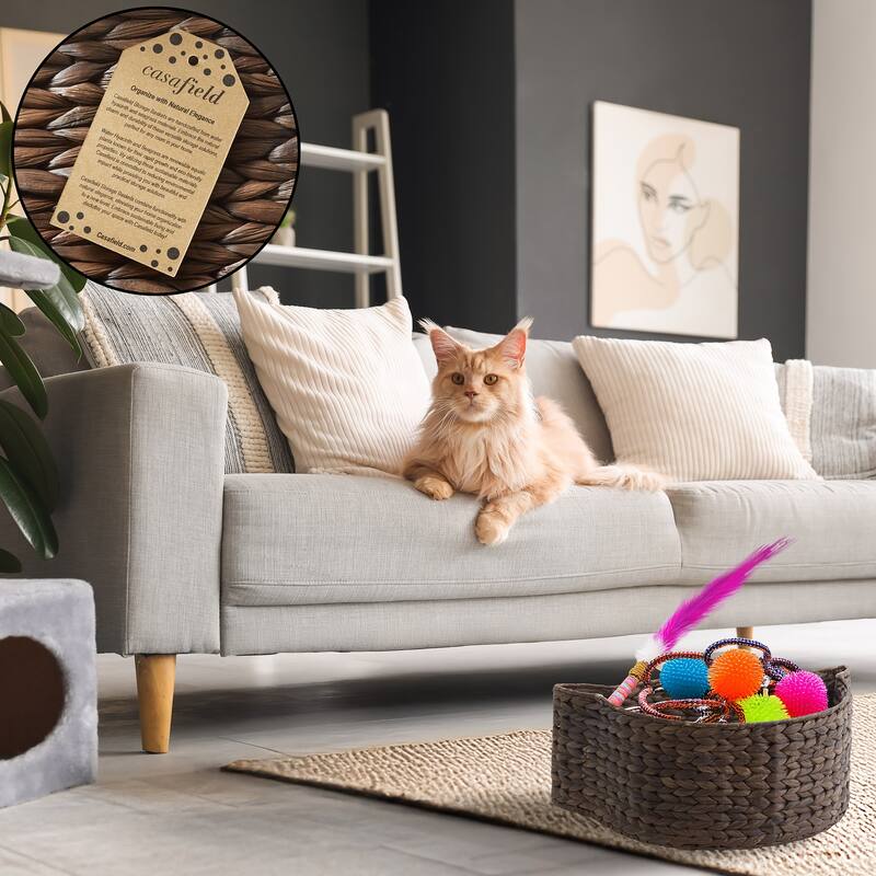 Cat Shaped Storage Basket Organizer Bin for Pet Toys Woven Hyacinth