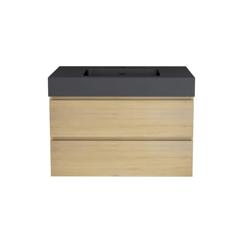 24 in. W x 18 in. D x 25 in. H Single Sink Wall Mounted Bath Vanity for Modern Bathroom Black Sink Basin