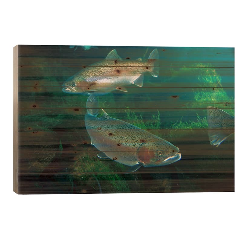 Rainbow Trout Pair Underwater In Utah Print On Wood by Michael Durham - Multi-Color - 18x26x1.5