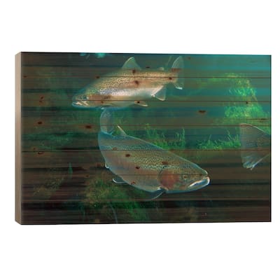 Rainbow Trout Pair Underwater In Utah Print On Wood by Michael Durham - Multi-Color