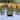 Wicker Outdoor Patio Conversation Set - Moss Green - 4pc