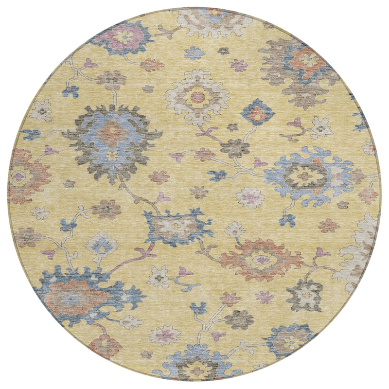 Machine Washable Indoor/ Outdoor Traditional Persian Chantille Rug