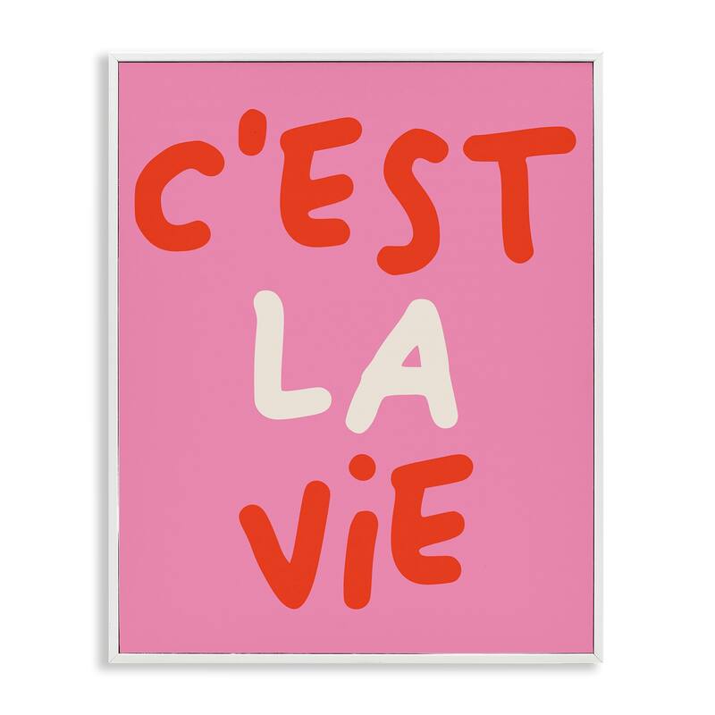Stupell C'est La Vie on Pink Framed Giclee Art Design By House of Lulu - 24 x 30 - White