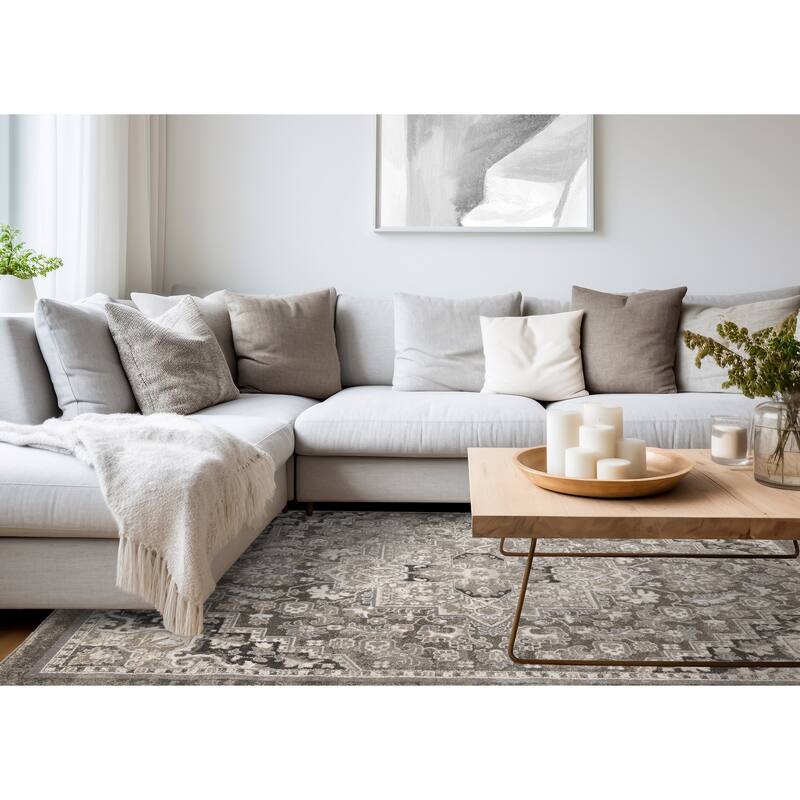 Hudson Collection - Traditional Elegant Taupe White Area Rug