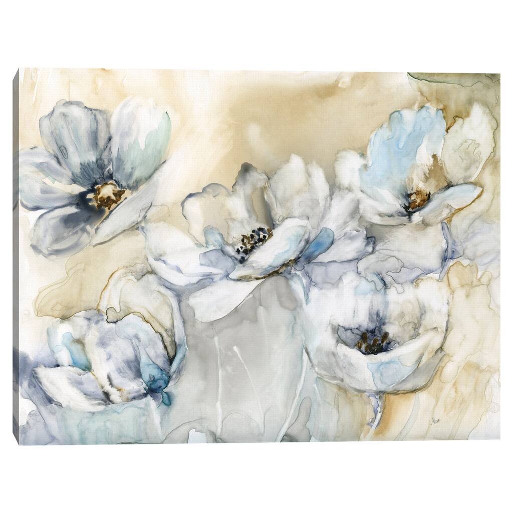Soft Blooms by Nan Canvas Art Print
