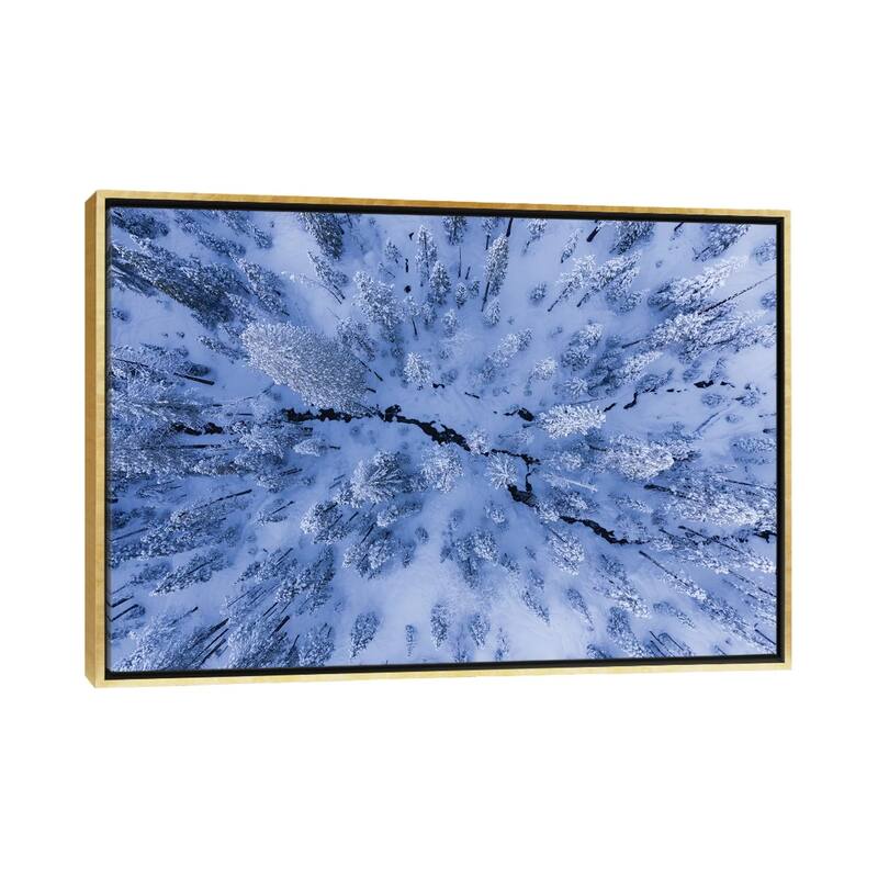 iCanvas "Winter Wonderland" by Gerald Macua Framed - Gold - 18x26