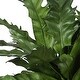 preview thumbnail 5 of 3, Uttermost Verdure Fern In Glazed Pot