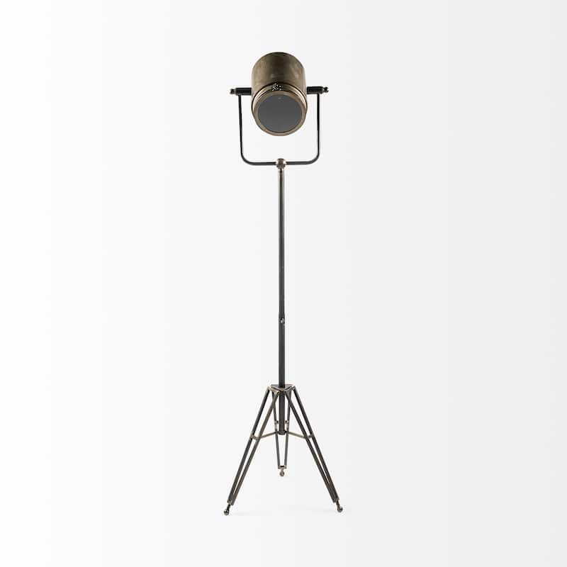 Debdou Gold Metal Adjustable Cinema-Style Floor Lamp
