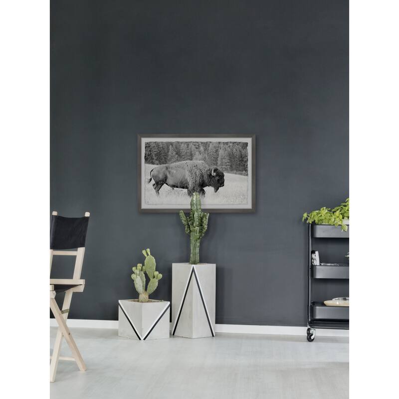 Coastal Buffalo Grazing Landscape Painting Print - 12x8 Framed Wall Art Home Decor