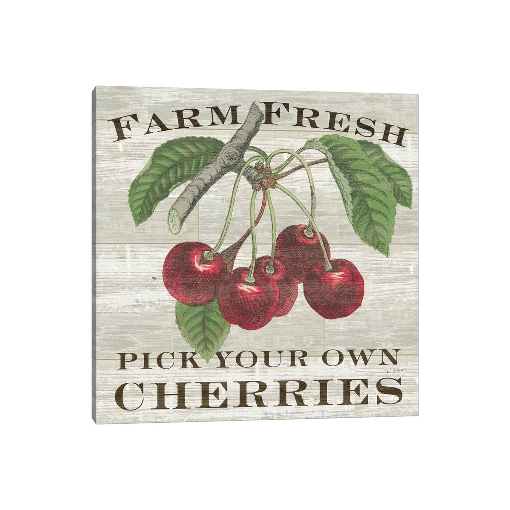 iCanvas "Farm Fresh Cherries" by Sue Schlabach Canvas Print
