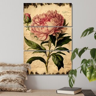 Designart "Vintage Pink And White Peony I" Floral Peony Canvas Art ...