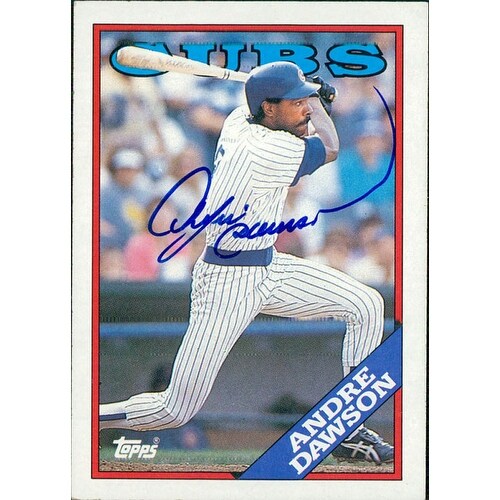 Tom Brady Expos Card Real tom brady montreal expos Draft