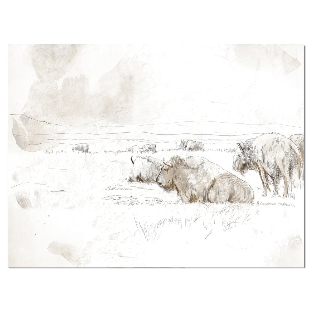 Designart "Wild Bison Buffalo Sketch" Farmhouse Animal Print on Wrapped Canvas